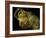 Mummy A with Gilded Mask and Cartonnage Chest Plate, Valley of the Golden Mummies, Egypt-Kenneth Garrett-Framed Photographic Print