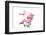 Mums flowers against white background-null-Framed Photographic Print