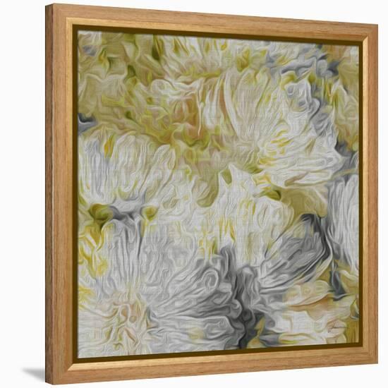 Mums in Sun I-James Burghardt-Framed Stretched Canvas