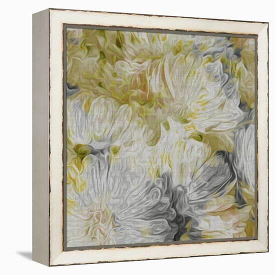 Mums in Sun I-James Burghardt-Framed Stretched Canvas