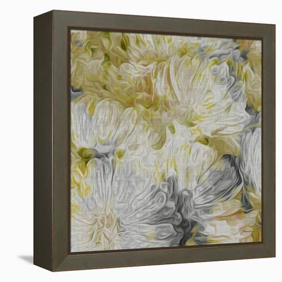 Mums in Sun I-James Burghardt-Framed Stretched Canvas