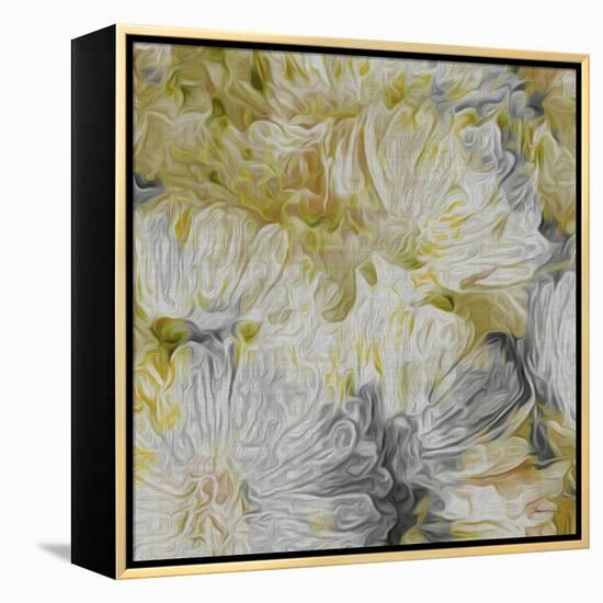 Mums in Sun I-James Burghardt-Framed Stretched Canvas