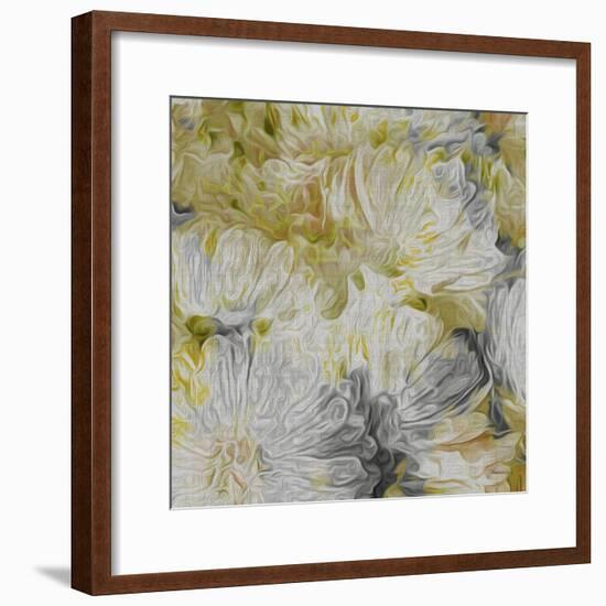 Mums in Sun I-James Burghardt-Framed Art Print