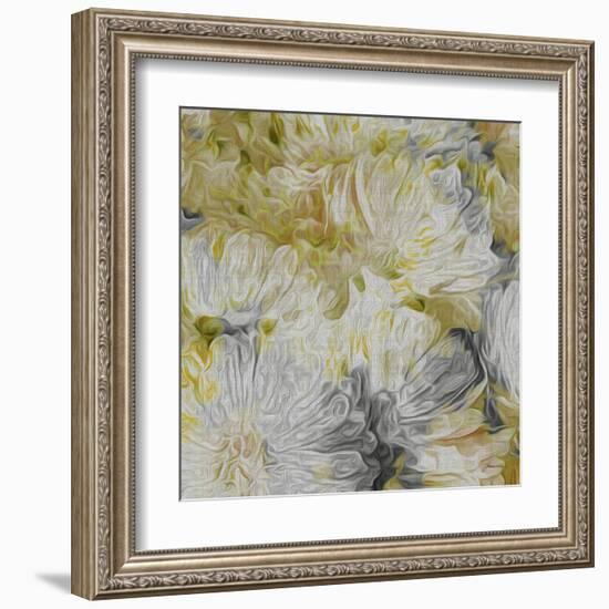 Mums in Sun I-James Burghardt-Framed Art Print