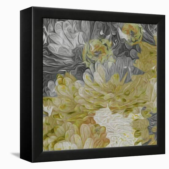 Mums in Sun III-James Burghardt-Framed Stretched Canvas