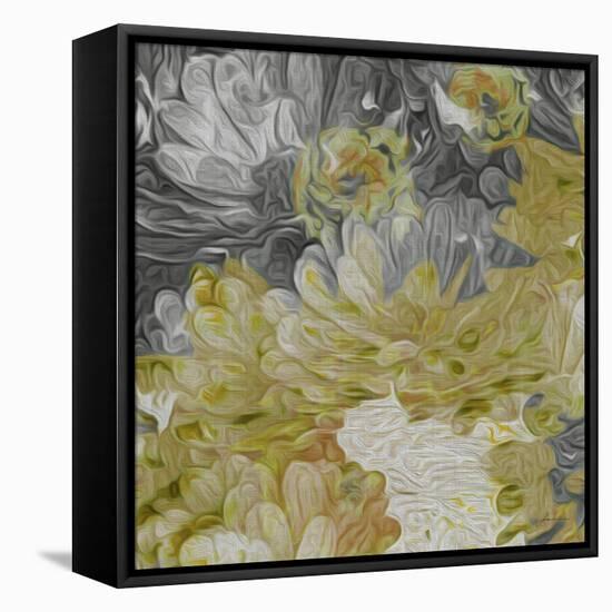 Mums in Sun III-James Burghardt-Framed Stretched Canvas