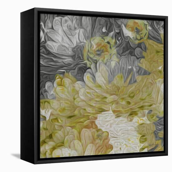 Mums in Sun III-James Burghardt-Framed Stretched Canvas