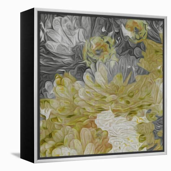 Mums in Sun III-James Burghardt-Framed Stretched Canvas