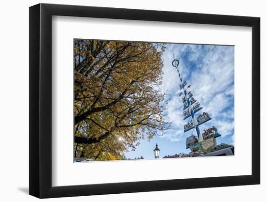 Munich, Bavaria, Germany, Maypole at the Viktualienmarkt (Food Market-Bernd Wittelsbach-Framed Photographic Print