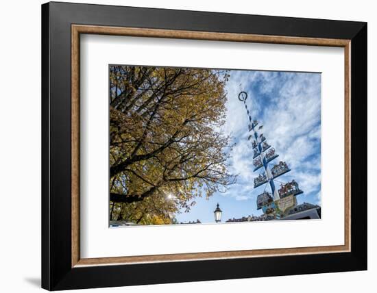 Munich, Bavaria, Germany, Maypole at the Viktualienmarkt (Food Market-Bernd Wittelsbach-Framed Photographic Print