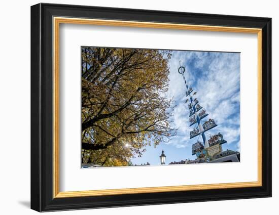 Munich, Bavaria, Germany, Maypole at the Viktualienmarkt (Food Market-Bernd Wittelsbach-Framed Photographic Print