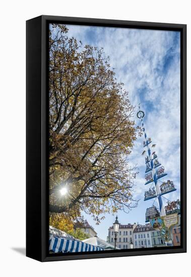 Munich, Bavaria, Germany, Maypole at the Viktualienmarkt (Food Market-Bernd Wittelsbach-Framed Premier Image Canvas