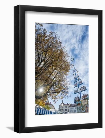 Munich, Bavaria, Germany, Maypole at the Viktualienmarkt (Food Market-Bernd Wittelsbach-Framed Photographic Print