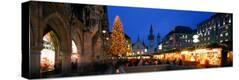 Stretched Canvas Print