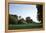 Munich, the English Garden - Germany-Florian Monheim-Framed Premier Image Canvas