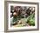 Municipal Market at Assomada, Santiago, Cape Verde Islands, Africa-R H Productions-Framed Photographic Print