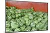 Municipal Market Watermelons for Sale, Manaus, Amazon, Brazil-Cindy Miller Hopkins-Mounted Photographic Print