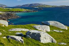 Northern Gannet (Morus Bassanus) Colonies on Stac Lee and Stac an Armin, St. Kilda, Hebrides, UK-Muñoz-Photographic Print