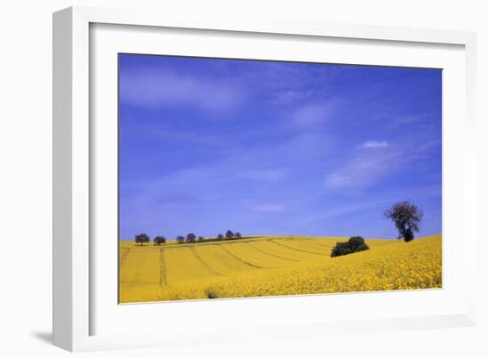 Munstermaifeld - Germany-Hartmut Junker-Framed Photographic Print