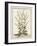 Munting Botanicals III-Abraham Munting-Framed Art Print