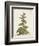 Munting Botanicals IV-Abraham Munting-Framed Premium Giclee Print