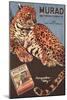 Murad, Cigarettes Smoking Leopards, USA, 1910-null-Mounted Giclee Print