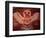 Mural from Tetitla, Eagle, Teotihuacan, Mexico-Kenneth Garrett-Framed Photographic Print