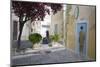 Mural in the Town of Sigean, Languedoc-Roussillon, France-Rob Cousins-Mounted Photographic Print