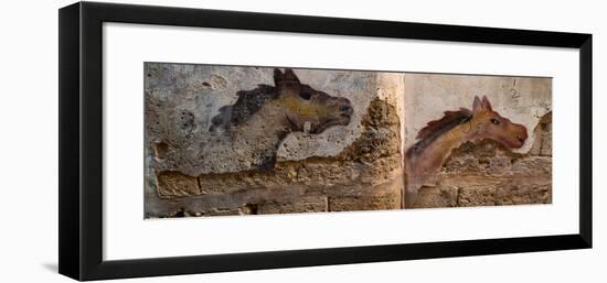 Mural of animal on wall, Acre (Akko), Israel-null-Framed Photographic Print