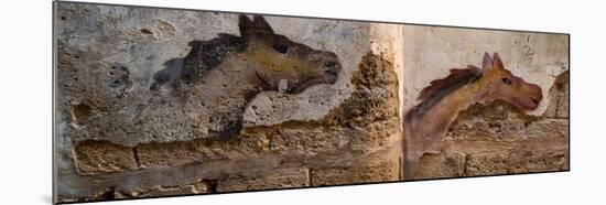 Mural of animal on wall, Acre (Akko), Israel-null-Mounted Photographic Print