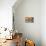 Mural Paintings-Bruno Morandi-Photographic Print displayed on a wall