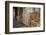 Murals in Christian Monastery and Church of Azuwa Maryam, Zege Peninsula, Lake Tana, Ethiopia-Simon Montgomery-Framed Photographic Print