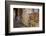 Murals in Christian Monastery and Church of Azuwa Maryam, Zege Peninsula, Lake Tana, Ethiopia-Simon Montgomery-Framed Photographic Print