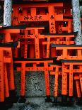 Torii Gates at Fushimi Inari Shrine, Japan, Kyoto-Murat Taner-Photographic Print