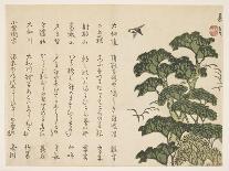 Oak Branch and Acorns-Murata Kagen-Mounted Giclee Print
