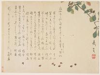 Big Tree and Birds, C.1830-44-Murata Kagen-Giclee Print