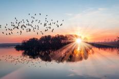 Group of Seagulls over Sea-muratart-Photographic Print