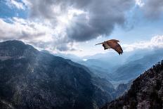 Hawk Flying over the Mountains-muratart-Photographic Print