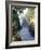 Murchison Falls, Murchison Falls National Park, Uganda, East Africa, Africa-Rob Cousins-Framed Photographic Print