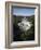 Murchison Falls, Murchison National Park, Uganda, East Africa, Africa-Andrew Mcconnell-Framed Photographic Print