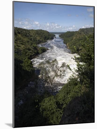Murchison Falls, Murchison National Park, Uganda, East Africa, Africa-Andrew Mcconnell-Mounted Photographic Print