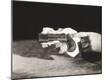 Premium Photographic Print