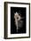 Murex Pecten (Peigne De V?nus)-Paul Starosta-Framed Photographic Print