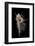 Murex Pecten (Peigne De V?nus)-Paul Starosta-Framed Photographic Print
