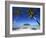 Muri Beach, Rarotonga, Cook Islands, South Pacific-Doug Pearson-Framed Photographic Print