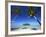 Muri Beach, Rarotonga, Cook Islands, South Pacific-Doug Pearson-Framed Photographic Print