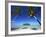 Muri Beach, Rarotonga, Cook Islands, South Pacific-Doug Pearson-Framed Photographic Print