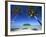 Muri Beach, Rarotonga, Cook Islands, South Pacific-Doug Pearson-Framed Photographic Print