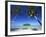 Muri Beach, Rarotonga, Cook Islands, South Pacific-Doug Pearson-Framed Photographic Print