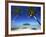 Muri Beach, Rarotonga, Cook Islands, South Pacific-Doug Pearson-Framed Photographic Print